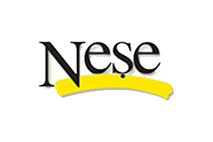Neşe